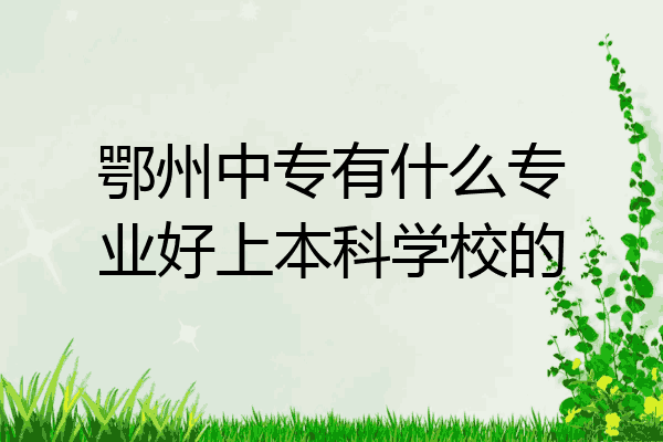 鄂州中专有什么专业好上本科学校的