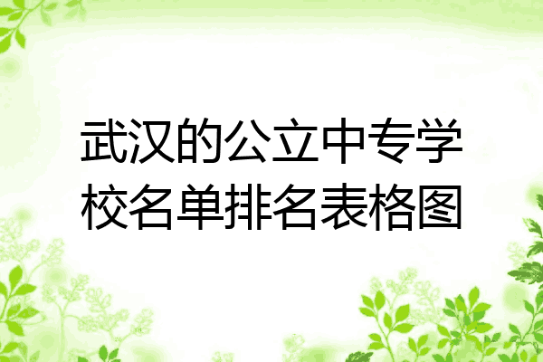武汉的公立中专学校名单排名表格图