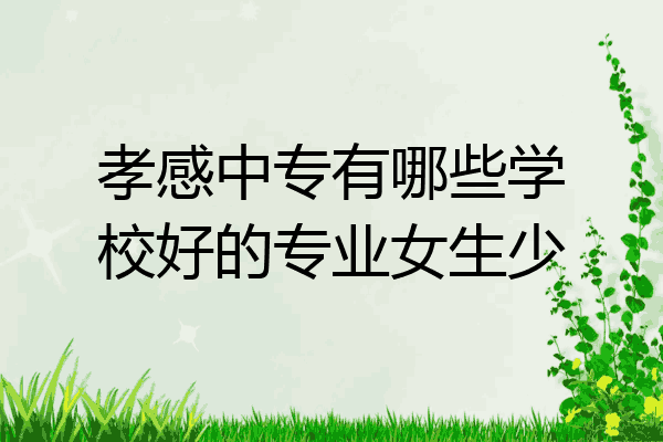 孝感中专有哪些学校好的专业女生少