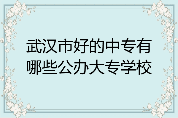 武汉市好的中专有哪些公办大专学校