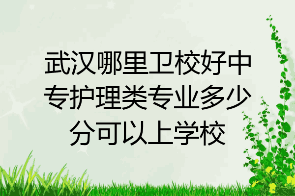 武汉哪里卫校好中专护理类专业多少分可以上学校