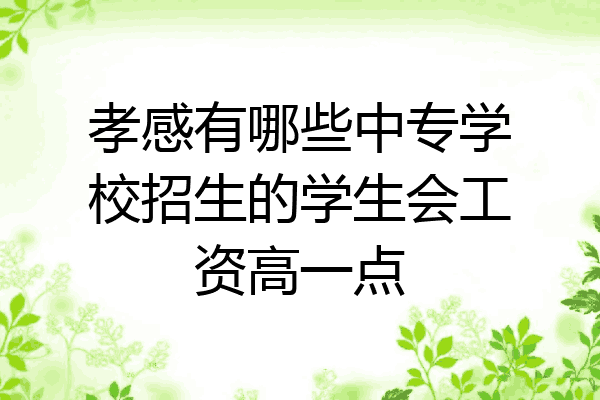孝感有哪些中专学校招生的学生会工资高一点