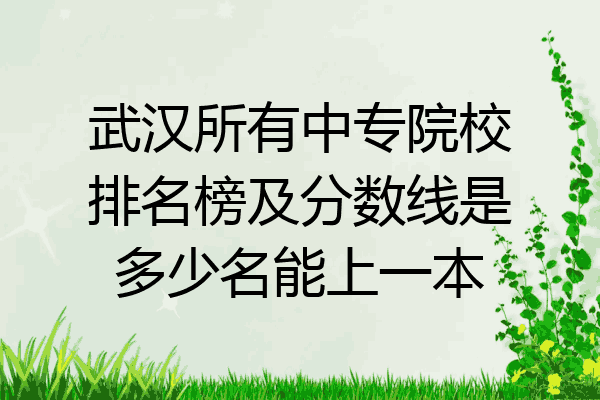 武汉所有中专院校排名榜及分数线是多少名能上一本