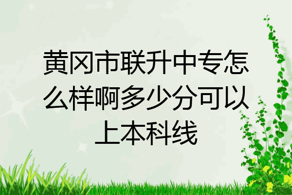 黄冈市联升中专怎么样啊多少分可以上本科线