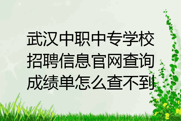 武汉中职中专学校招聘信息官网查询成绩单怎么查不到
