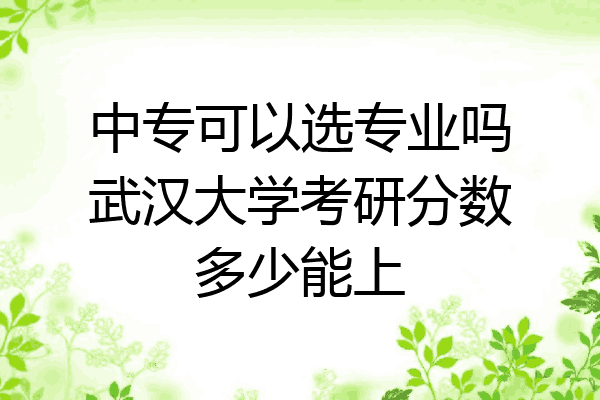 中专可以选专业吗武汉大学考研分数多少能上
