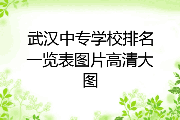 武汉中专学校排名一览表图片高清大图