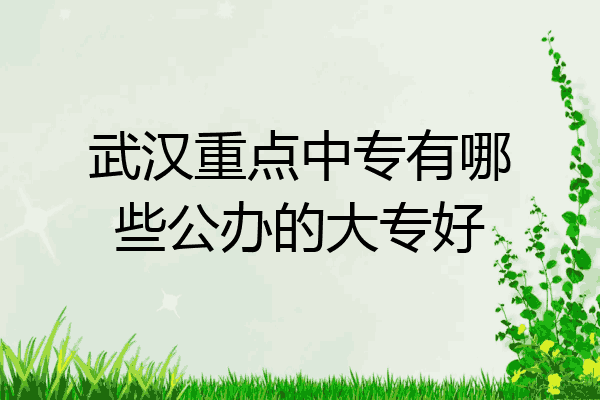 武汉重点中专有哪些公办的大专好