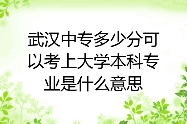 武汉中专多少分可以考上大学本科专业是什么意思