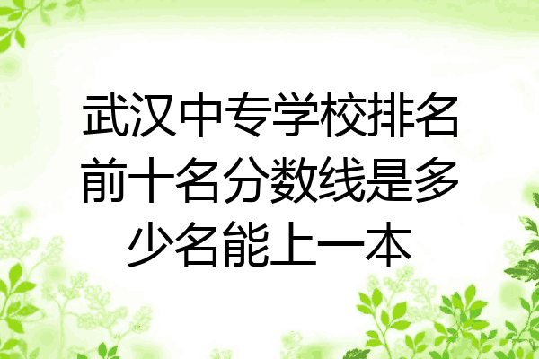 武汉中专学校排名前十名分数线是多少名能上一本