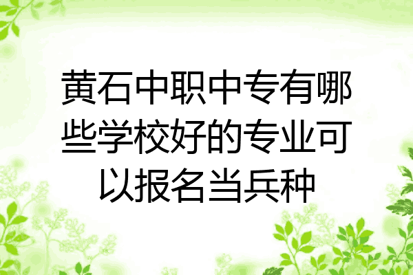 黄石中职中专有哪些学校好的专业可以报名当兵种