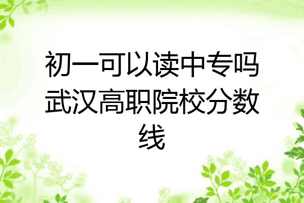初一可以读中专吗武汉高职院校分数线