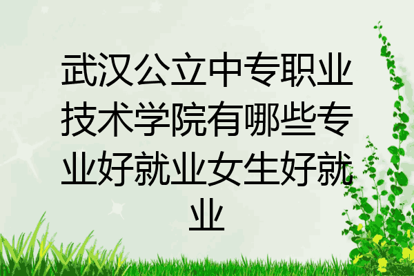 武汉公立中专职业技术学院有哪些专业好就业女生好就业