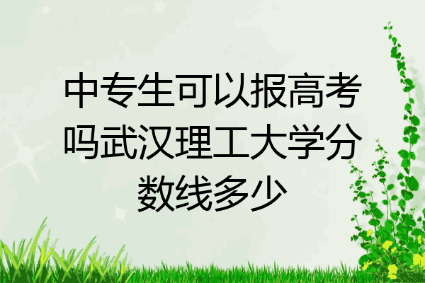 中专生可以报高考吗武汉理工大学分数线多少