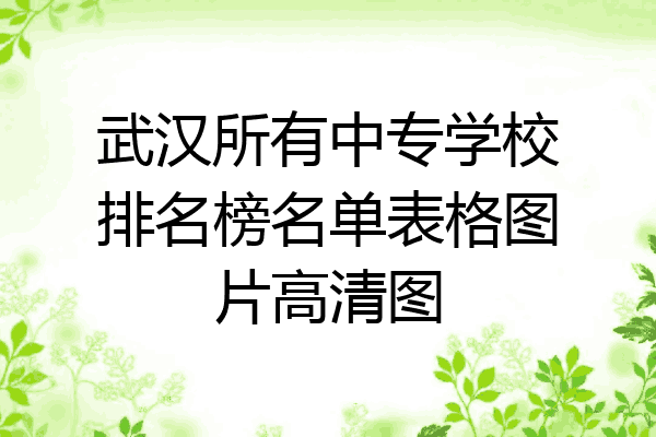 武汉所有中专学校排名榜名单表格图片高清图