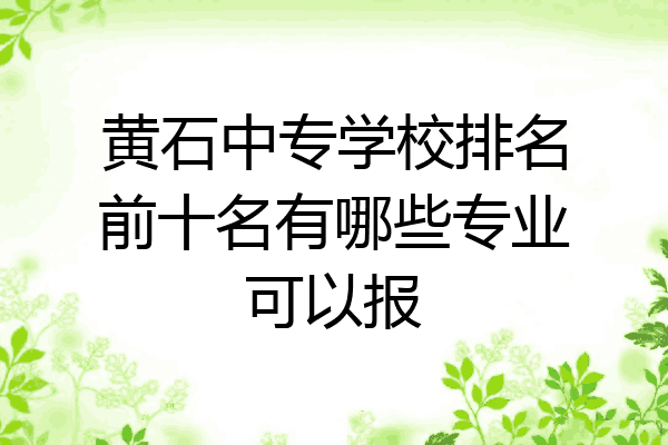 黄石中专学校排名前十名有哪些专业可以报