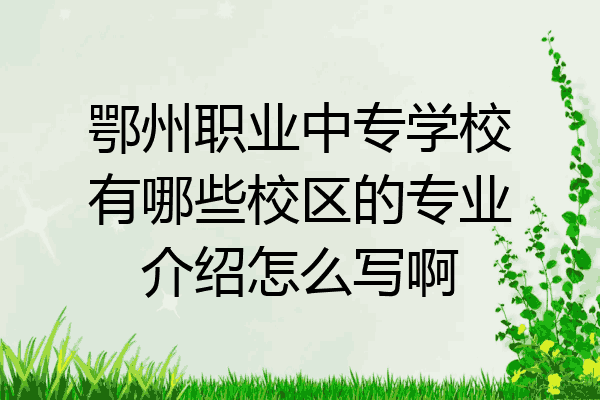 鄂州职业中专学校有哪些校区的专业介绍怎么写啊