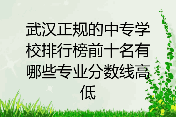 武汉正规的中专学校排行榜前十名有哪些专业分数线高低