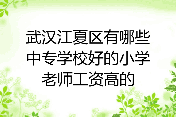 武汉江夏区有哪些中专学校好的小学老师工资高的