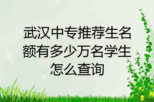 武汉中专推荐生名额有多少万名学生怎么查询