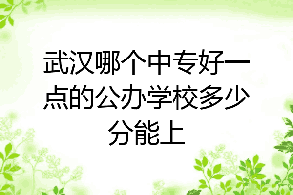 武汉哪个中专好一点的公办学校多少分能上