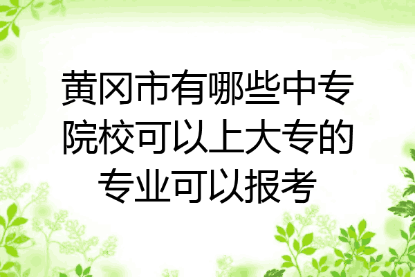 黄冈市有哪些中专院校可以上大专的专业可以报考