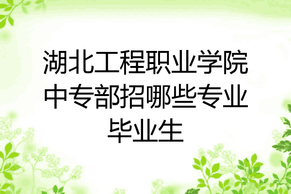 湖北工程职业学院中专部招哪些专业毕业生