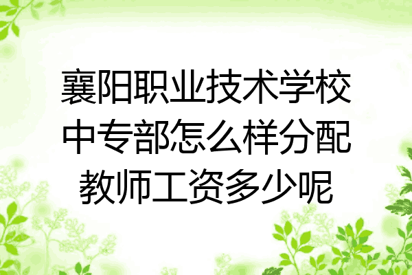 襄阳职业技术学校中专部怎么样分配教师工资多少呢