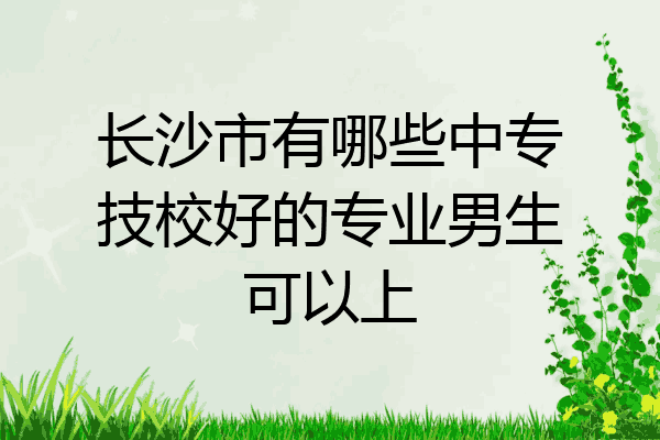 长沙市有哪些中专技校好的专业男生可以上