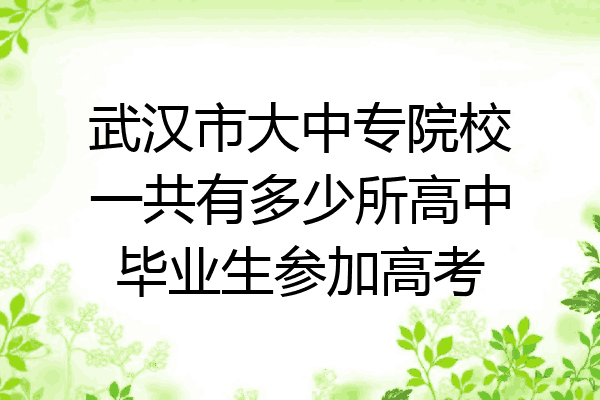 武汉市大中专院校一共有多少所高中毕业生参加高考