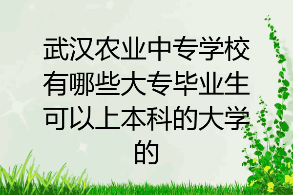 武汉农业中专学校有哪些大专毕业生可以上本科的大学的