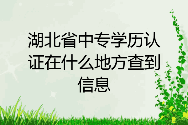 湖北省中专学历认证在什么地方查到信息