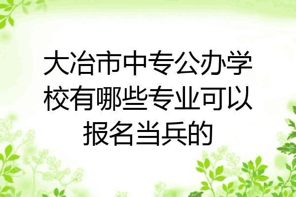 大冶市中专公办学校有哪些专业可以报名当兵的