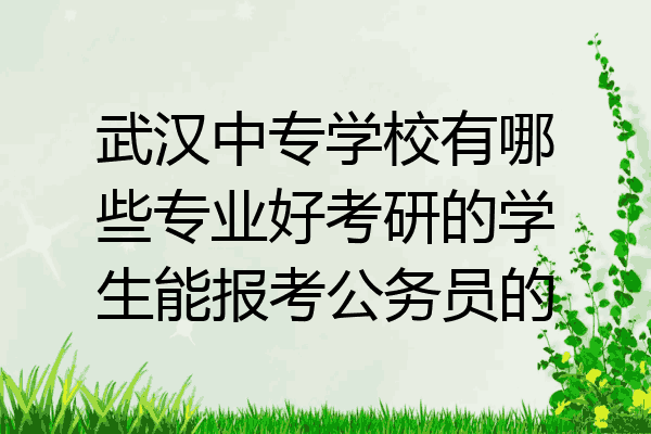 武汉中专学校有哪些专业好考研的学生能报考公务员的