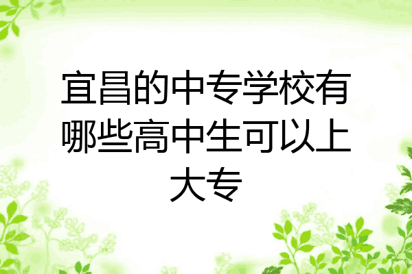 宜昌的中专学校有哪些高中生可以上大专