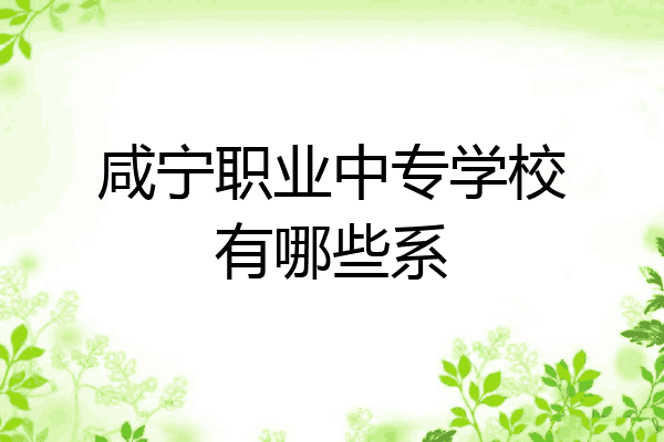咸宁职业中专学校有哪些系