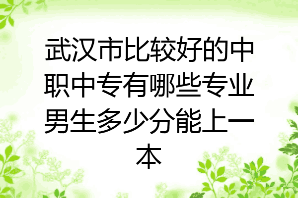 武汉市比较好的中职中专有哪些专业男生多少分能上一本