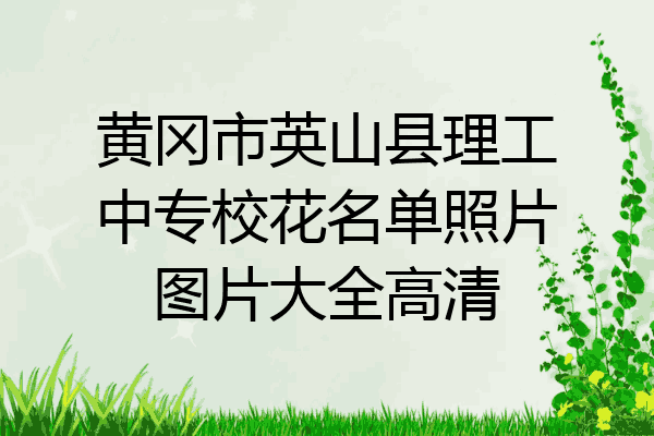 黄冈市英山县理工中专校花名单照片图片大全高清