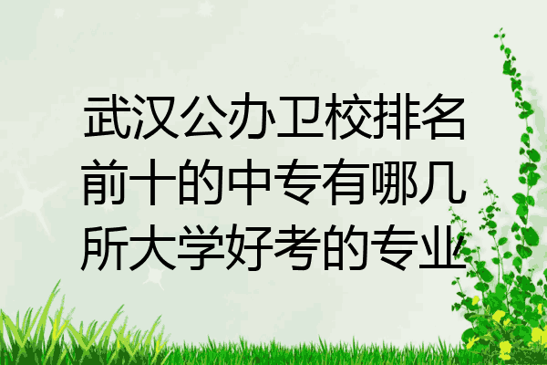 武汉公办卫校排名前十的中专有哪几所大学好考的专业