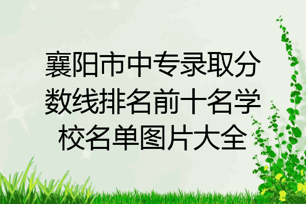 襄阳市中专录取分数线排名前十名学校名单图片大全