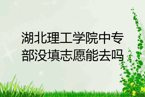 湖北理工学院中专部没填志愿能去吗