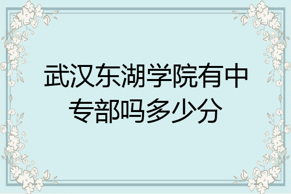 武汉东湖学院有中专部吗多少分