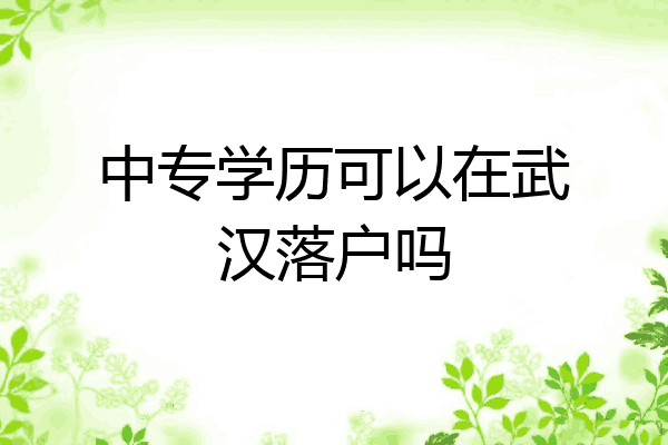 中专学历可以在武汉落户吗