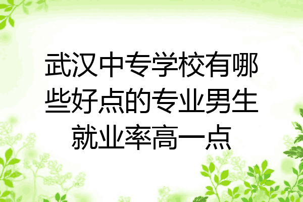 武汉中专学校有哪些好点的专业男生就业率高一点
