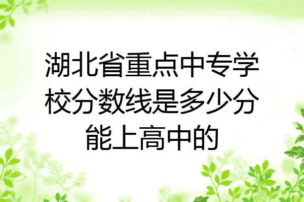 湖北省重点中专学校分数线是多少分能上高中的