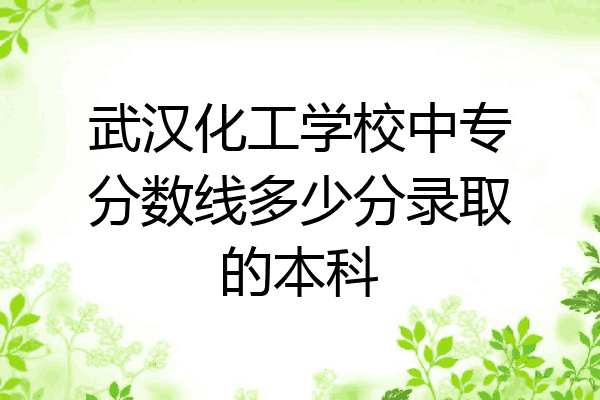 武汉化工学校中专分数线多少分录取的本科