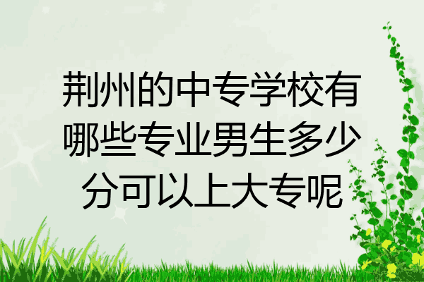 荆州的中专学校有哪些专业男生多少分可以上大专呢