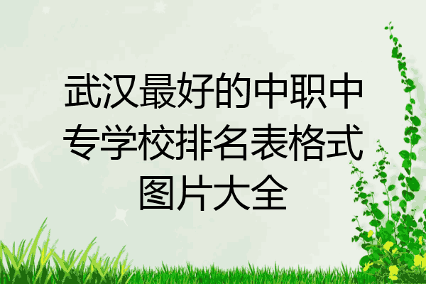 武汉最好的中职中专学校排名表格式图片大全