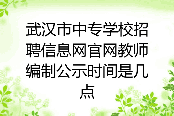 武汉市中专学校招聘信息网官网教师编制公示时间是几点