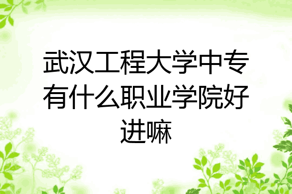 武汉工程大学中专有什么职业学院好进嘛